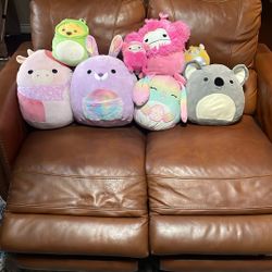Squishmallow Squad