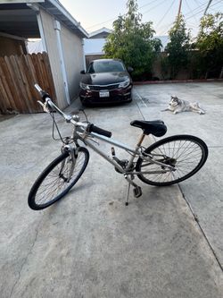 Giant bicycle
