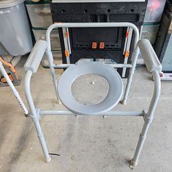 Raised toiletry seat with handles