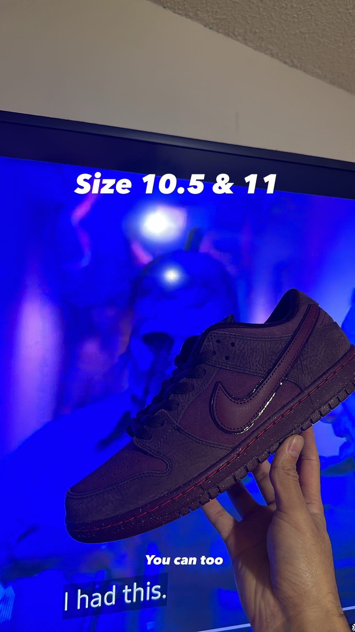Nike Sb Burgundy Crush Size 10.5