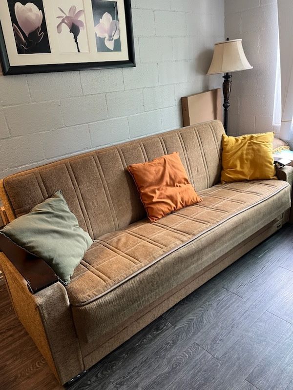 Pull Out Couch