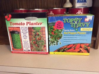 tomato plant and topsy turvy hot pepper plant