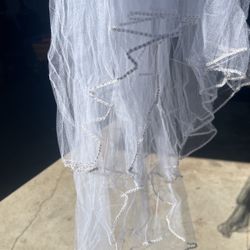 Wedding Veil 