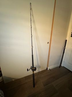 FISHING POLE!! Daiwa Sealine LD50H reel and heavy duty rod package deal