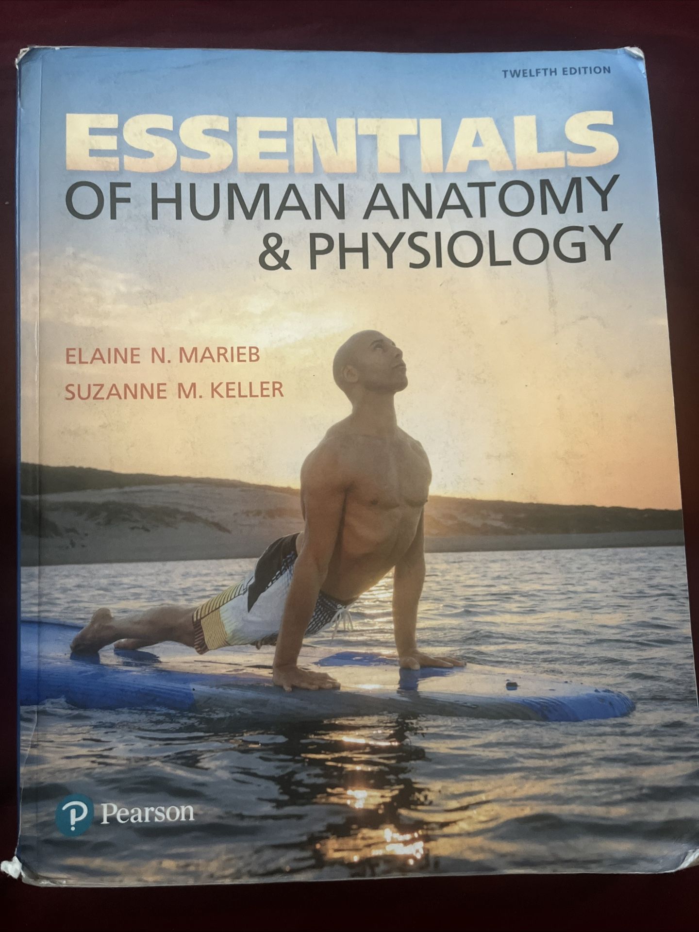 Essentials Of Human Anatomy