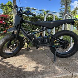 E Bike