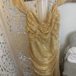 Plus size Evening Dress 