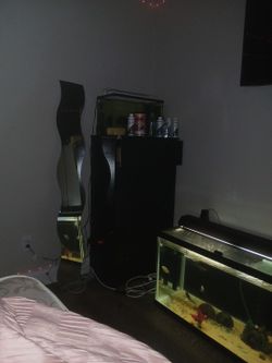 10 Gallon Tank