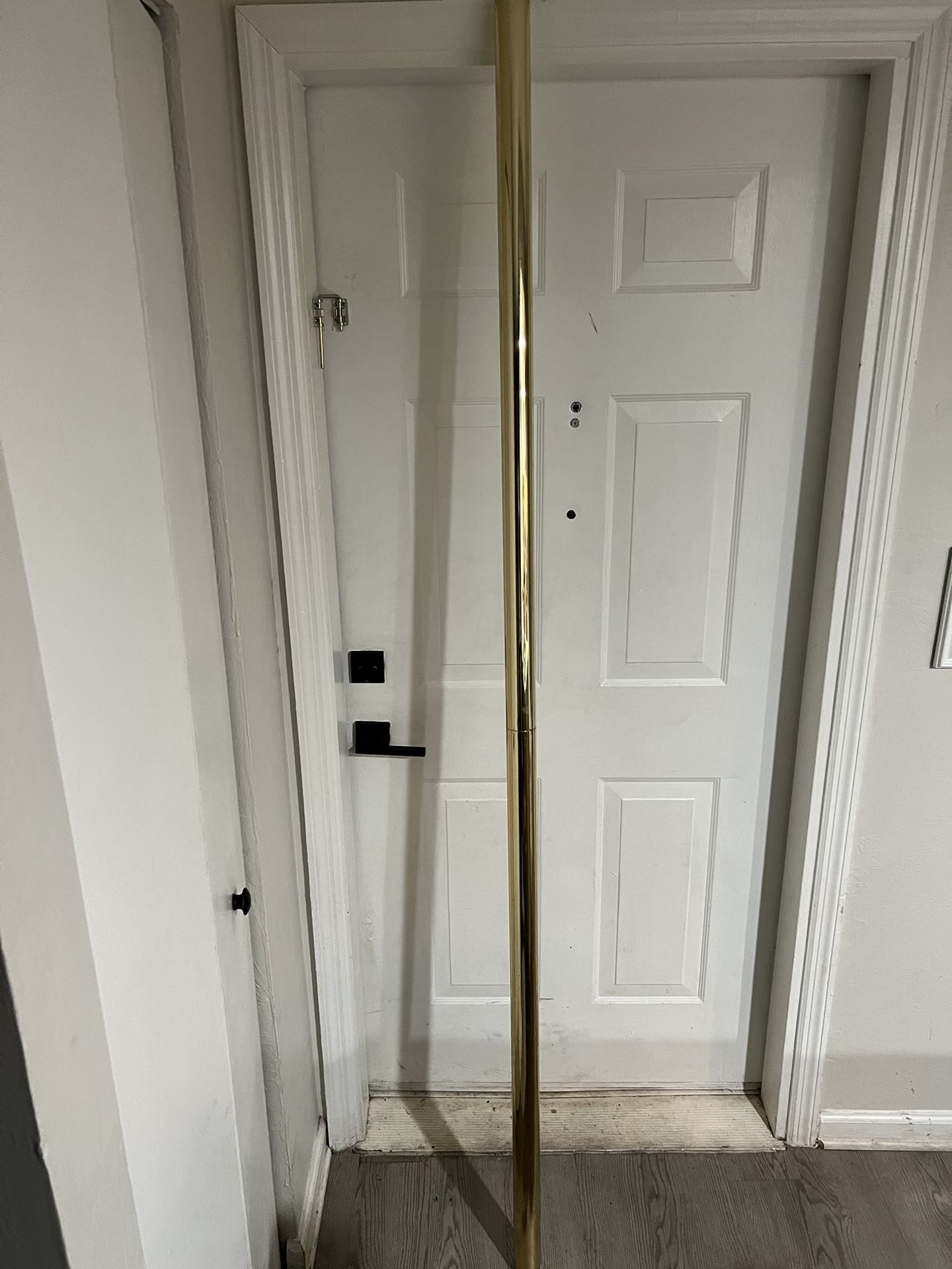 Professional Dance Pole