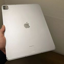 ipad Pro 12