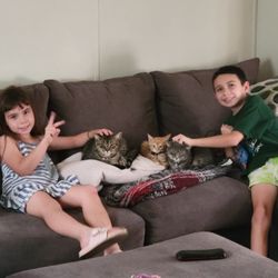 Use couch but like new