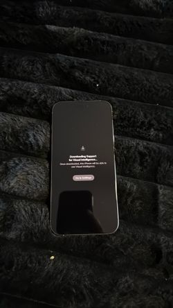 iPhone pro max 256 gb