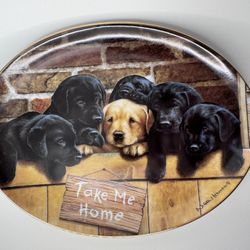 Franklin Mint "Take Me Home" Labrador Puppies Plate - Nigel Hemming