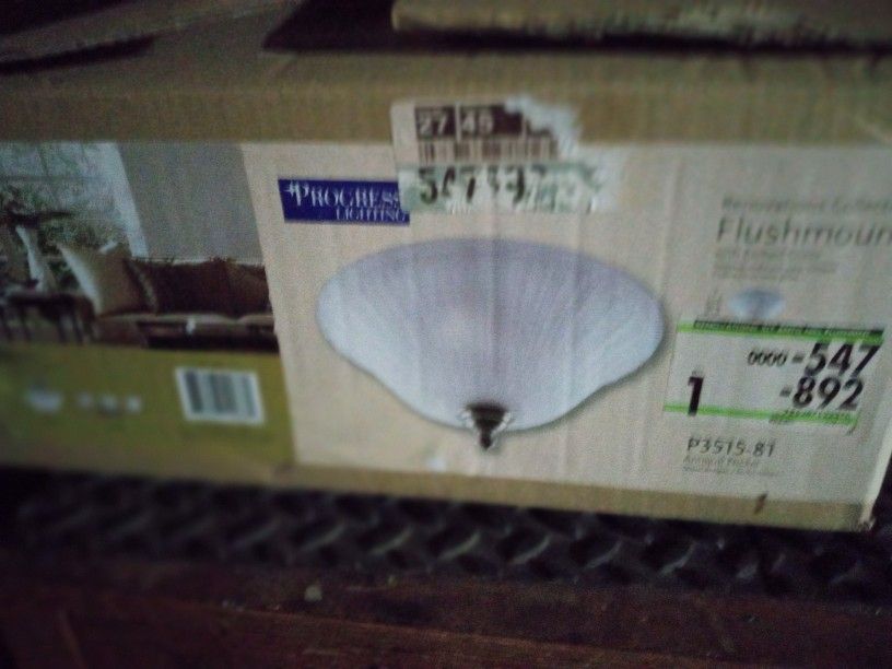 Flush Mount Ceiling Light