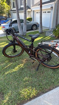 Radster Trail eBike