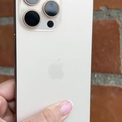 iPhone 16 Pro Max 256 Gb