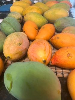 Sweet mangoes
