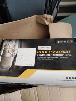 Professional condenser microphone