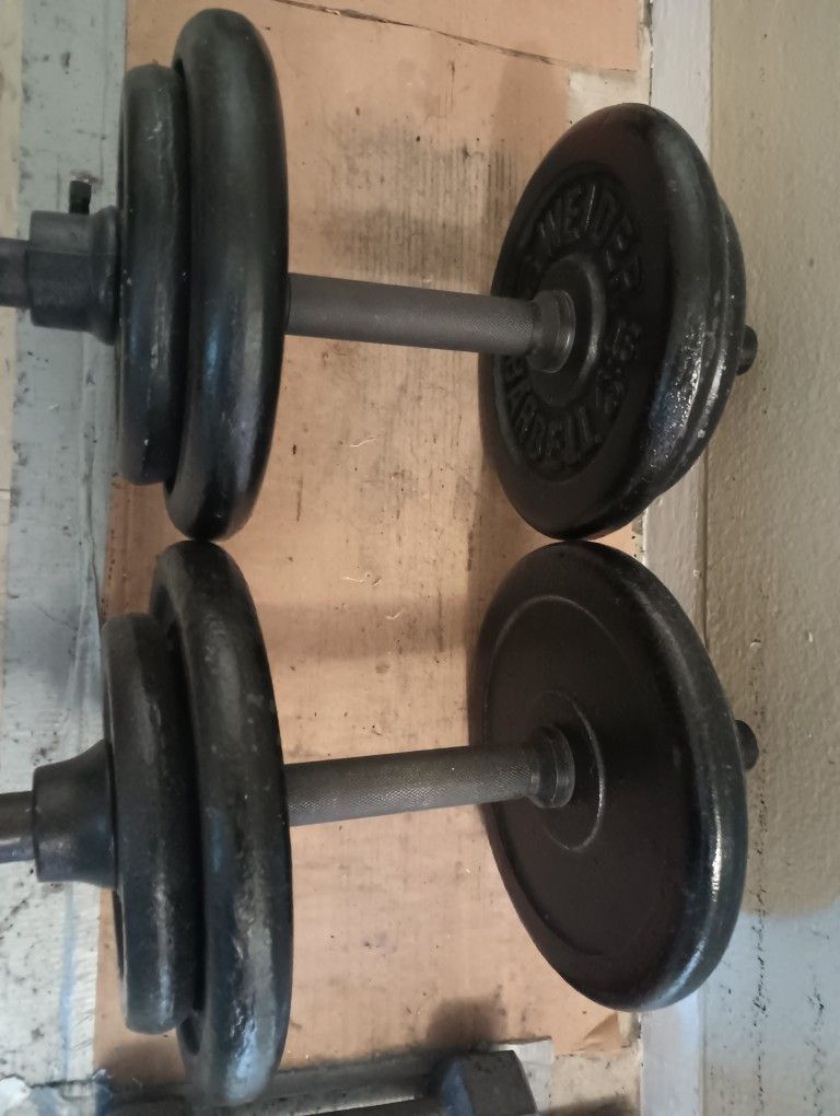 60 Lbs of weights