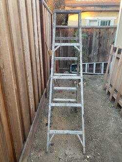 6’ Latter
