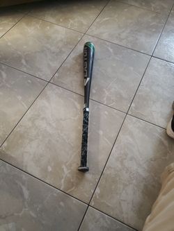 Easton Youth Bat