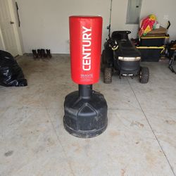 Free Standing Punching Bag 