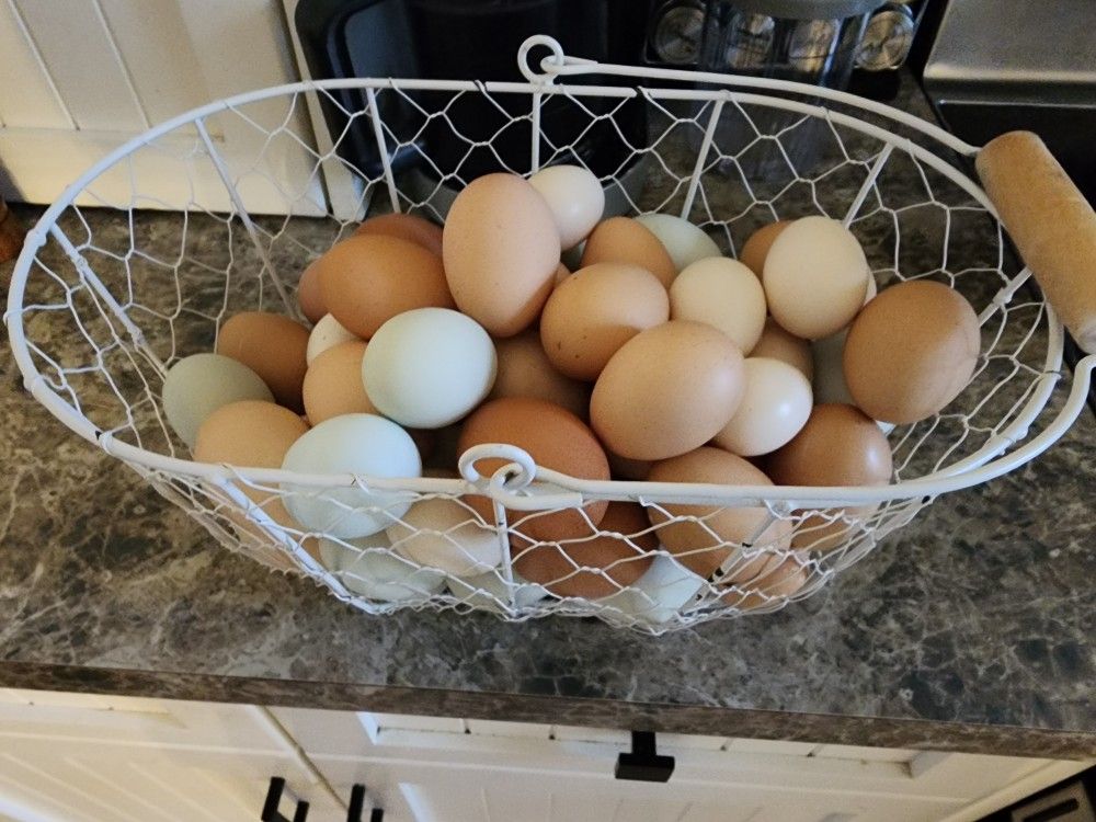Dozen Eggs $5