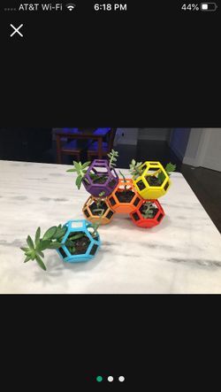 Succulents And Plantygons