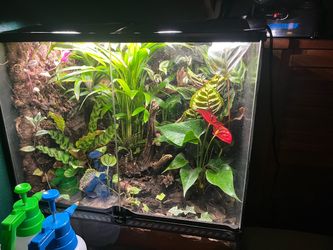 Bio active terrarium