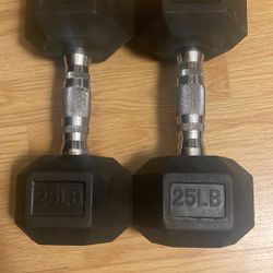 25lb Weights