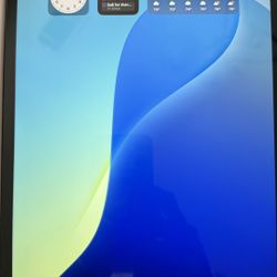 iPad Pro 11 Inch (4th Gen) 256gb Wi-Fi And Cellular 