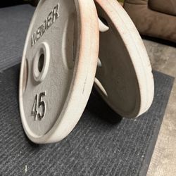 Weider 45lb Plate