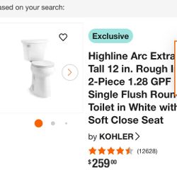 Kohler 19inch High Toilet 