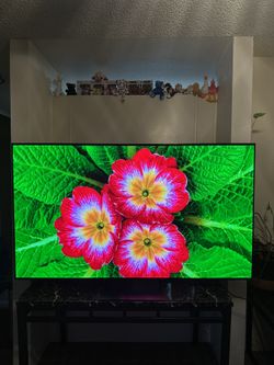 65” LG 4K OLED 