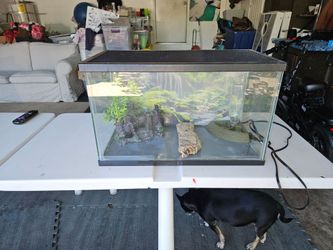 10gl fish tank terrarium