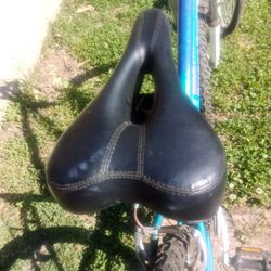 ADULT BICYCLE SEAT AND POLE $35 FINAL PRICE 