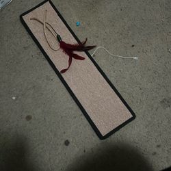 Cat Toy