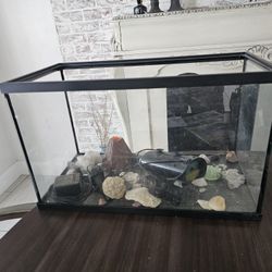 Fish Tank