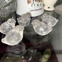 5 Glass Birds