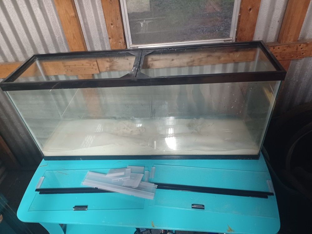 55gal Aquarium