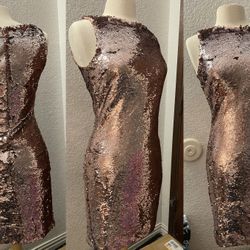 Brand New BB Dakota Sequin Dress