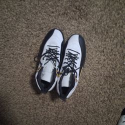 Air Jordan 12 Retro "Royalty Taxi"