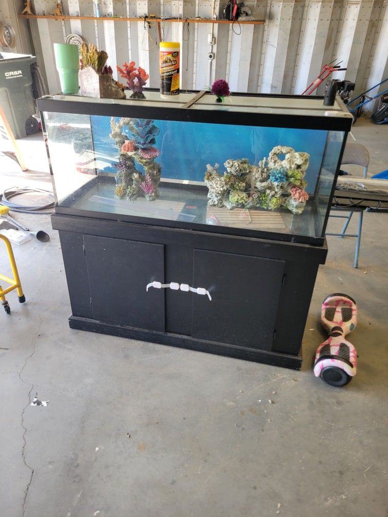 Fish Tank......bird Cage.....