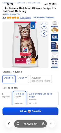 Cat Food