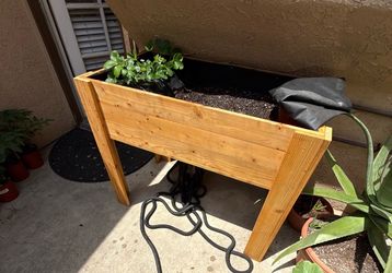 garden bed