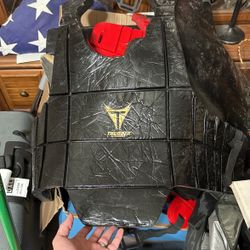 Mui Tai Pads / Taikwando Pads