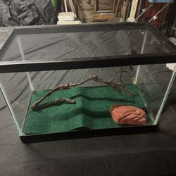 Reptile Cage
