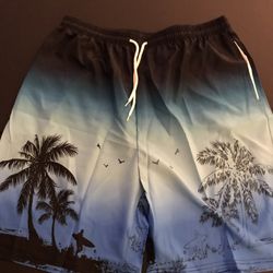 New Mens Swim Trunks Size Xxl 