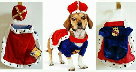 King of Barks Pet Costume - X-Small