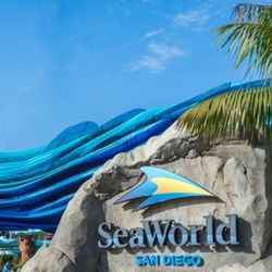 SeaWorld Or Sesame Place Tickets